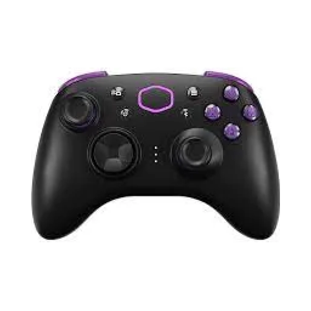 computer gaming cointroller storm