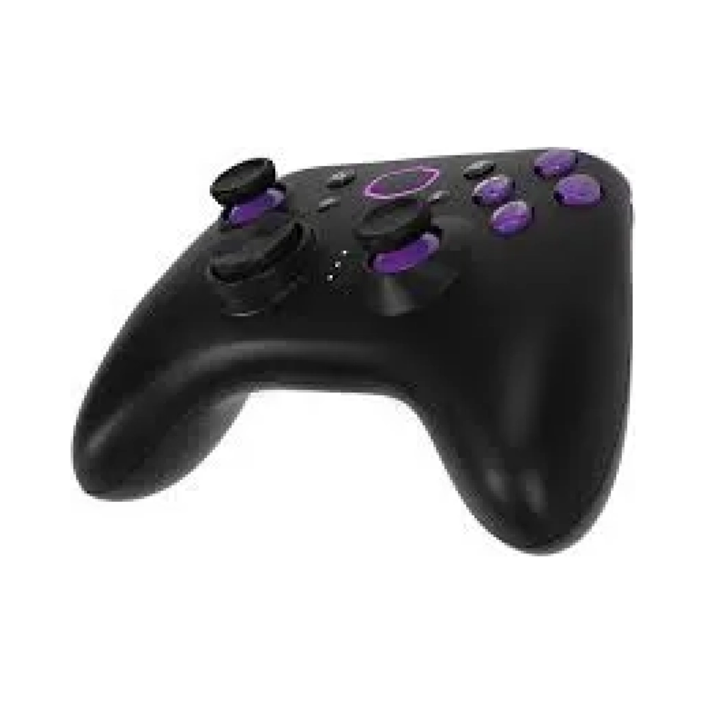 computer gaming cointroller storm