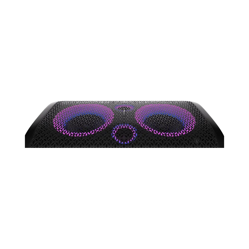 hisense hp100 party speaker power output 300w line in fm pll radio bluetooth usb playback x1